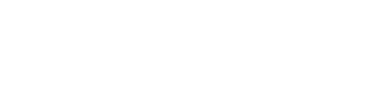 Schwarz Gruppe